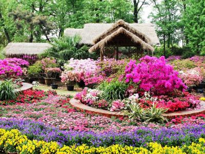 Фото: Сад скромного чиновника Чжи Чжэн